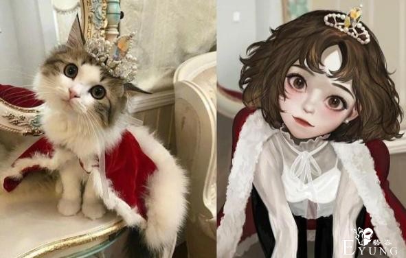 管ta是猫是狗，变了就行，快！给我变-2.jpg