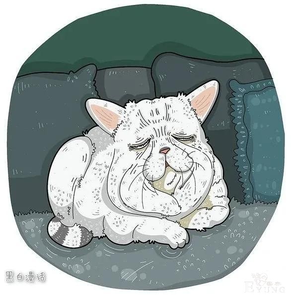 人性短漫画——成年人暗爽的时刻！对不起，看到后，我笑了-17.jpg