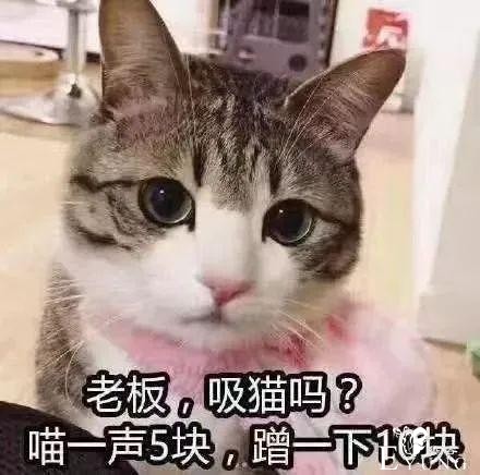 最没牌面的超级赛亚人？弗利萨大王的儿子？都在这部漫画里！-16.jpg