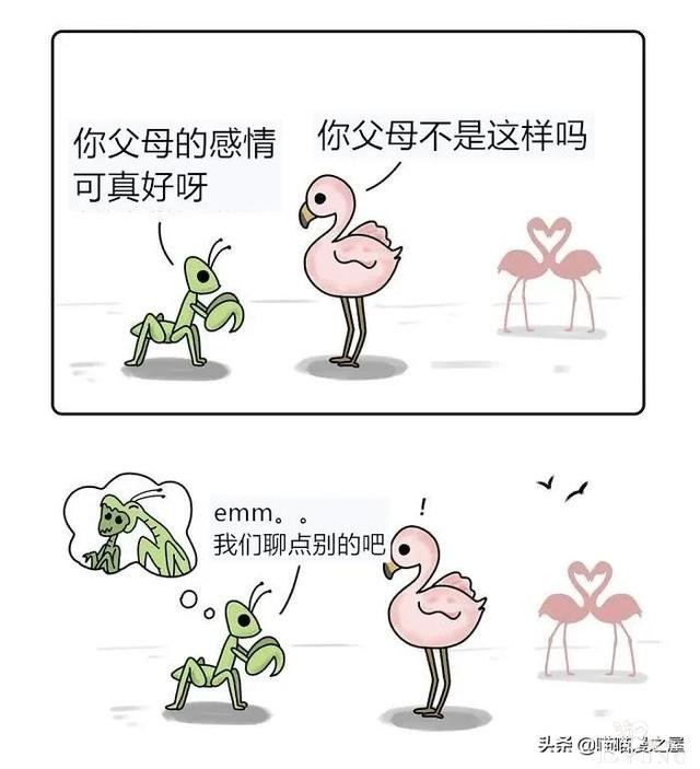 几则治愈系小漫画，心情不好时可以看看-2.jpg