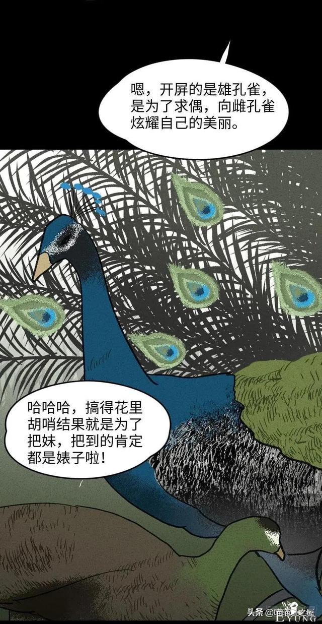 漫画故事：动物园-14.jpg