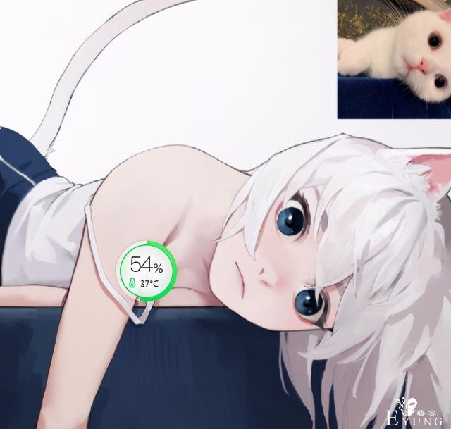 看完这位白毛萝莉，说什么也要对自家猫来一句：快给我变-1.jpg