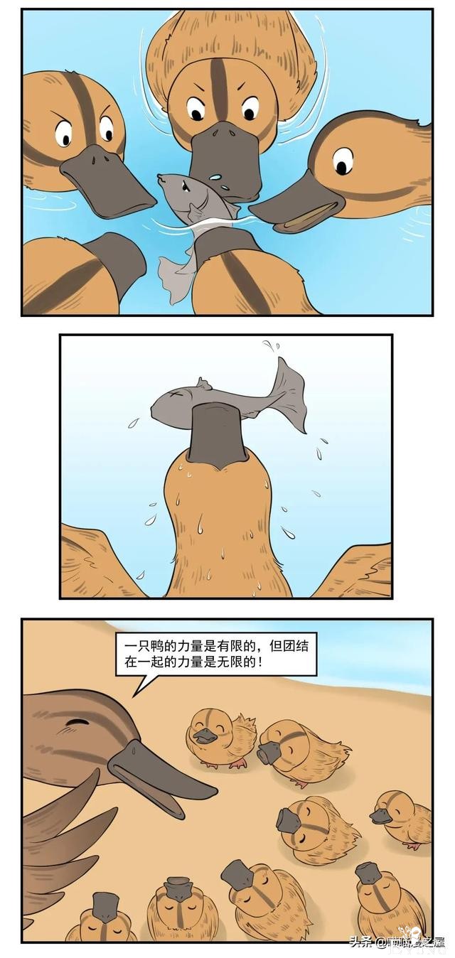 漫画故事：团结就是力量-3.jpg