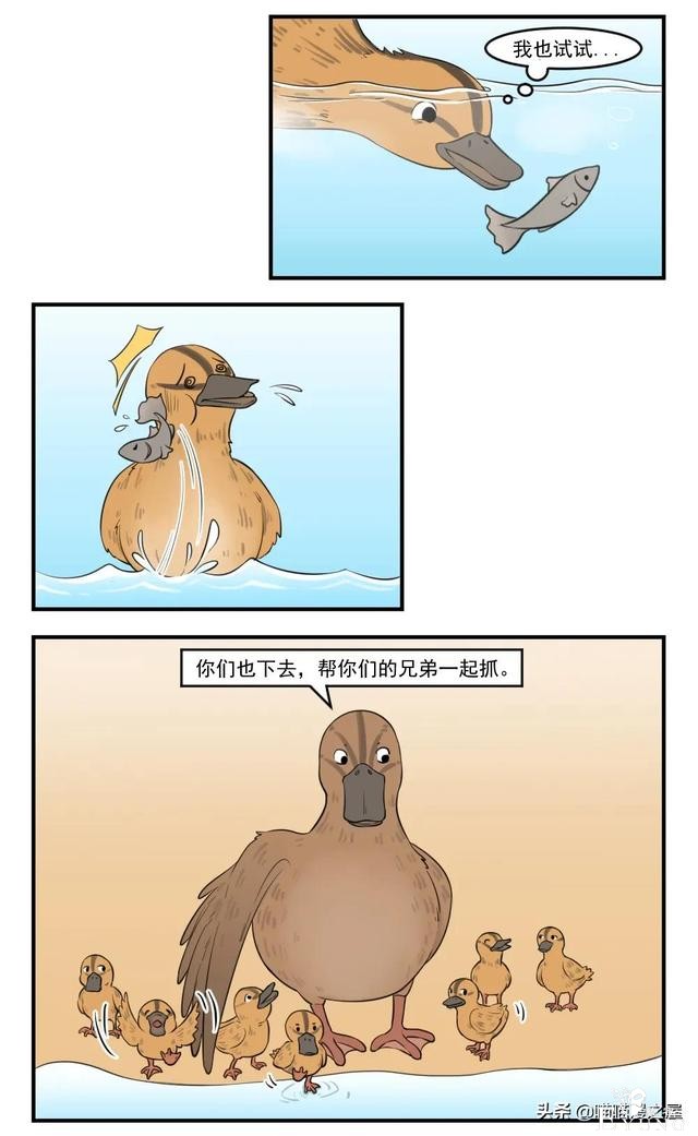 漫画故事：团结就是力量-2.jpg
