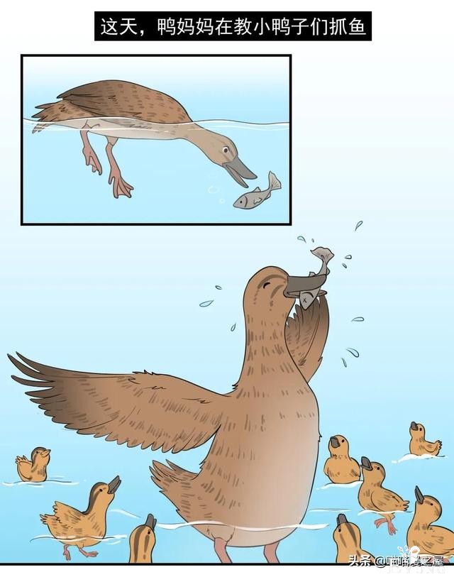 漫画故事：团结就是力量-1.jpg