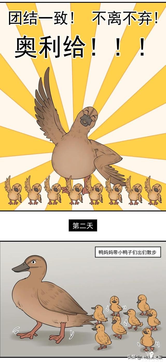 漫画故事：团结就是力量-4.jpg
