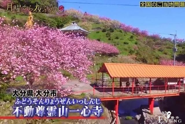 “成人动画无码”“二次元寺庙”，日本宅男这是要逆天吗？-4.jpg