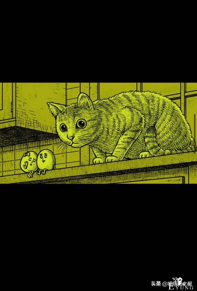 小漫画《单身猫》-6.jpg