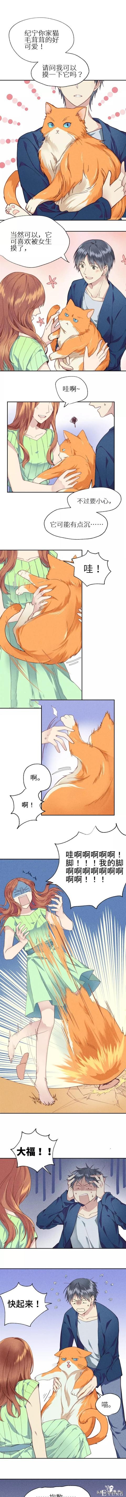 <漫画>如何让你的橘猫减肥01-1.jpg