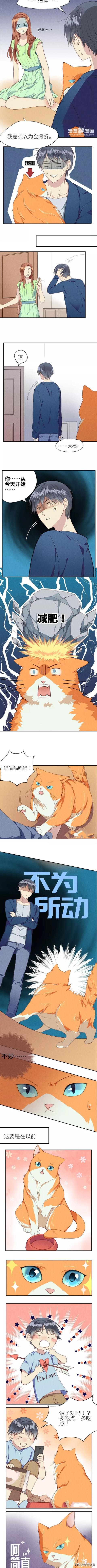 <漫画>如何让你的橘猫减肥01-2.jpg