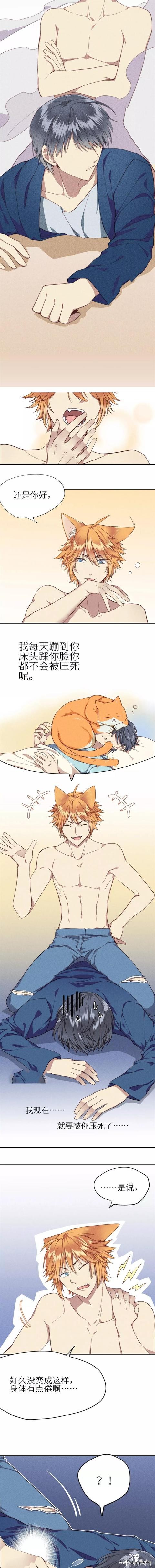 <漫画>如何让你的橘猫减肥01-4.jpg