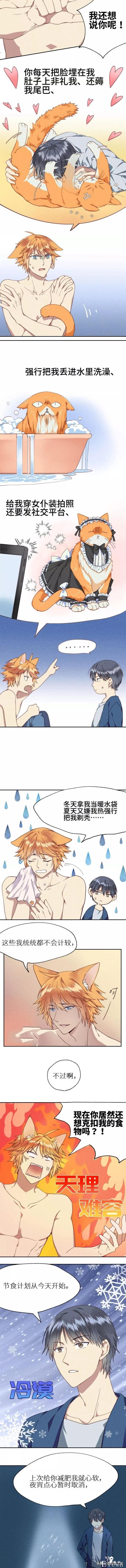 <漫画>如何让你的橘猫减肥01-6.jpg