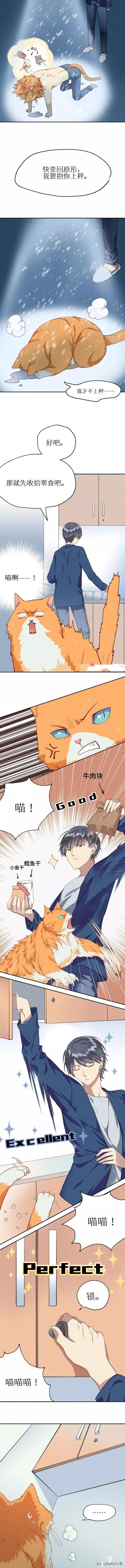 <漫画>如何让你的橘猫减肥01-7.jpg