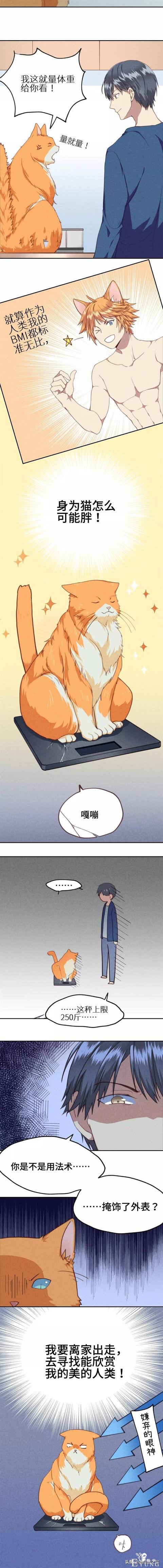 <漫画>如何让你的橘猫减肥01-8.jpg