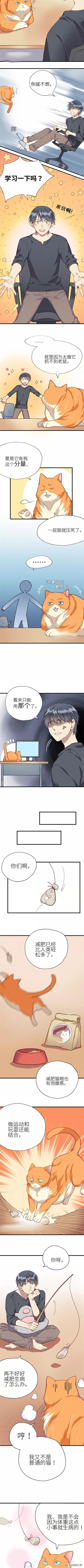 <漫画>如何让你的橘猫减肥01-10.jpg