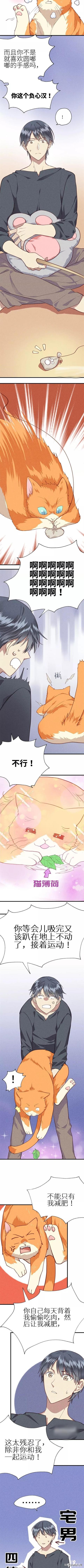 <漫画>如何让你的橘猫减肥01-11.jpg