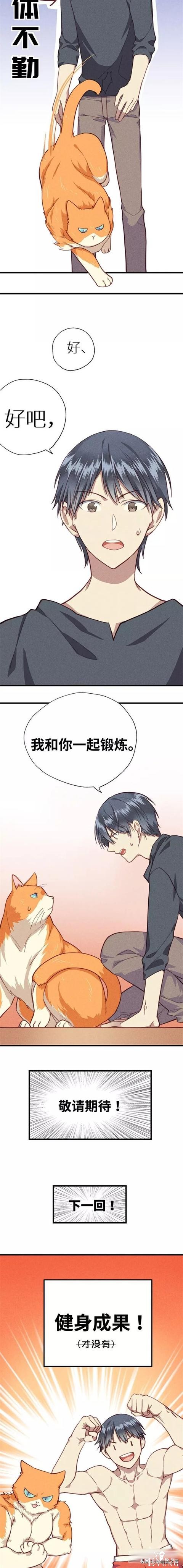 <漫画>如何让你的橘猫减肥01-12.jpg