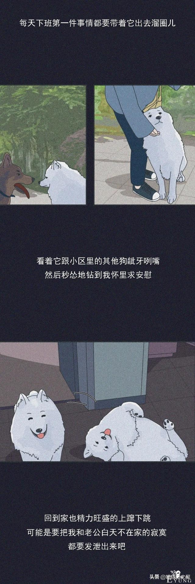 漫画：我在凌晨一点给前任发了条消息，你猜结局怎么样-6.jpg