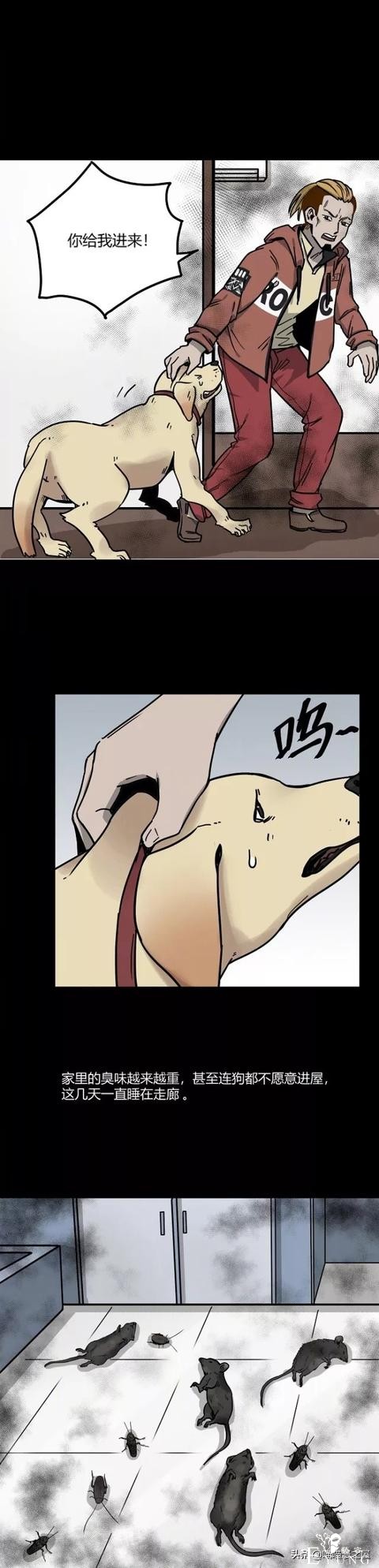 漫画：房间突然有一股挥之不散的恶臭，而且还越来越浓，怎么回事-13.jpg