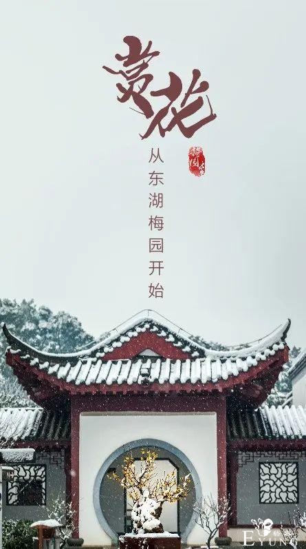 送门票！东湖梅园十景喊你来破圈-2.jpg