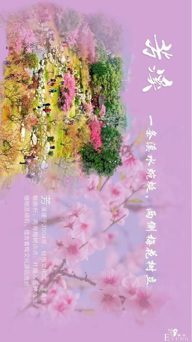 送门票！东湖梅园十景喊你来破圈-7.jpg
