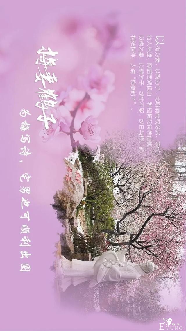 送门票！东湖梅园十景喊你来破圈-10.jpg
