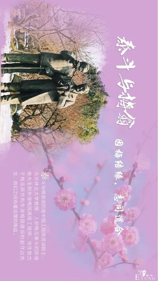 送门票！东湖梅园十景喊你来破圈-9.jpg