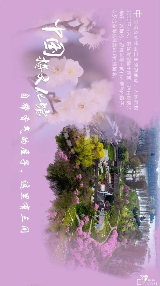 送门票！东湖梅园十景喊你来破圈-8.jpg