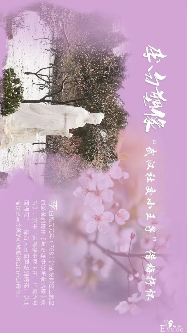 送门票！东湖梅园十景喊你来破圈-11.jpg