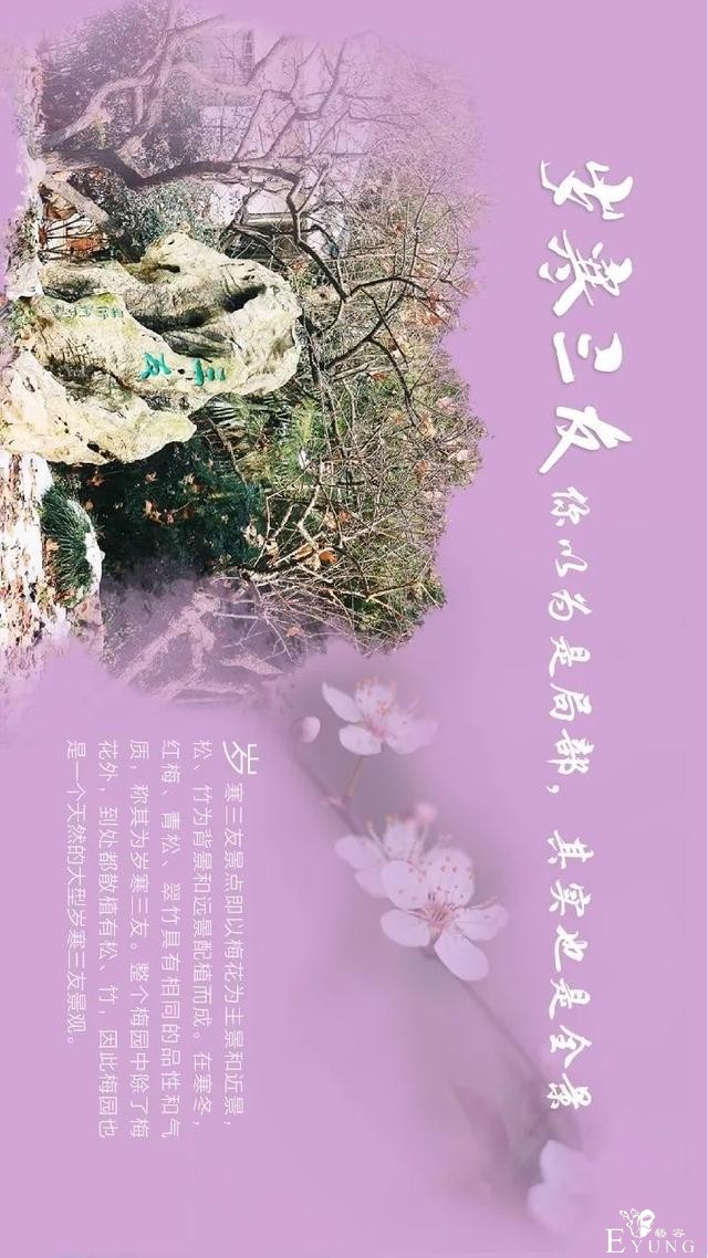 送门票！东湖梅园十景喊你来破圈-13.jpg
