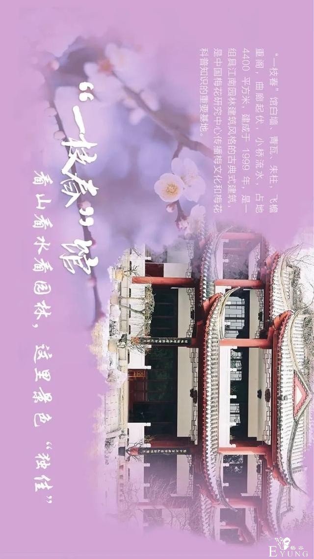 送门票！东湖梅园十景喊你来破圈-12.jpg
