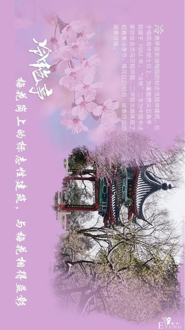 送门票！东湖梅园十景喊你来破圈-14.jpg