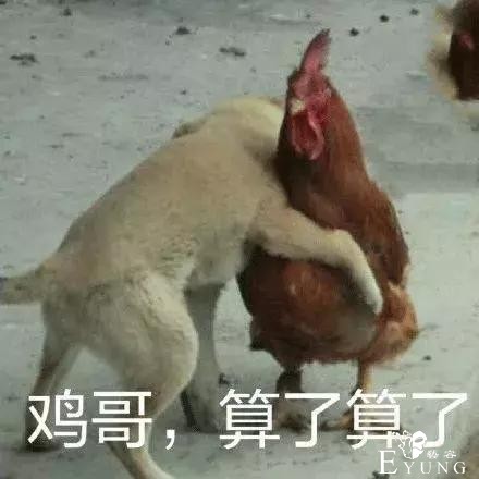 撩晕无数直男的不只迪丽热巴，还有女装大佬-9.jpg