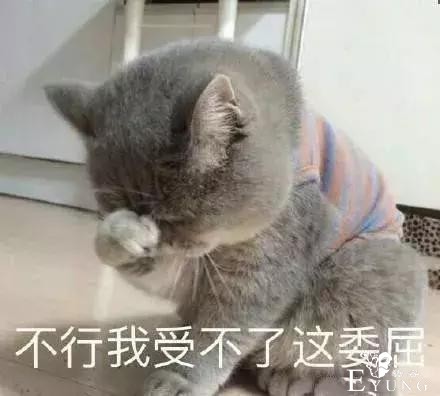 撩晕无数直男的不只迪丽热巴，还有女装大佬-26.jpg