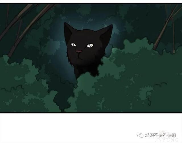 人性漫画「报恩的性感女郎想以身相许」-71.jpg