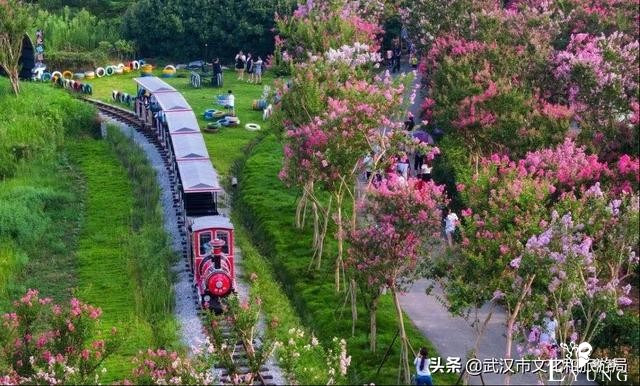 武汉春节去哪儿？景区指南上线-7.jpg