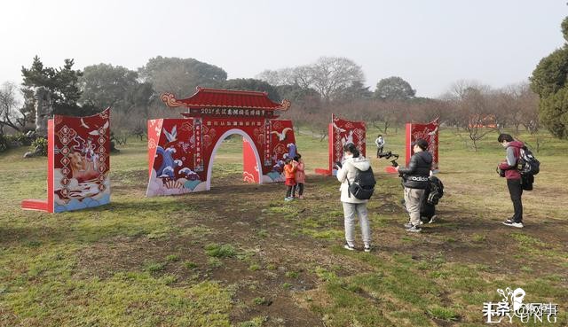 准备好照相机：武汉东湖梅园马上可以开拍-11.jpg