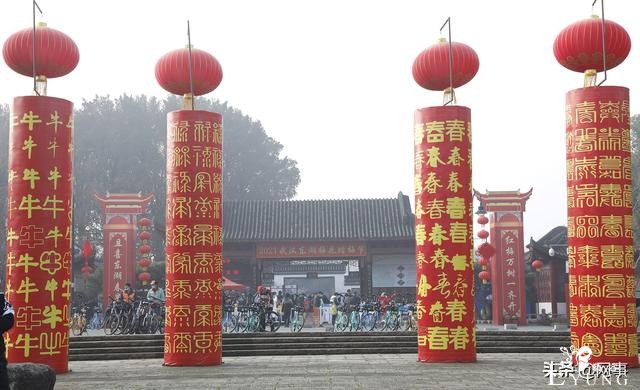准备好照相机：武汉东湖梅园马上可以开拍-12.jpg