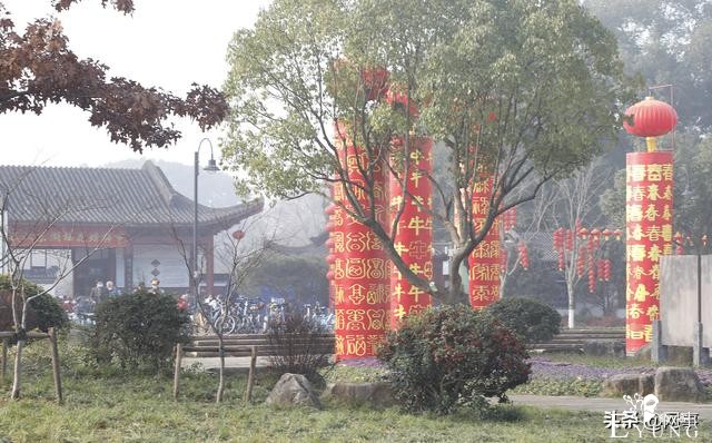 准备好照相机：武汉东湖梅园马上可以开拍-14.jpg