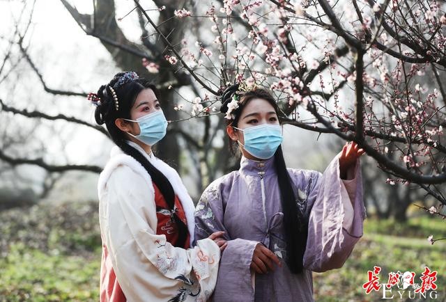 逛花展、拍大片、玩变装……东湖梅花节让你“梅”开眼笑-4.jpg