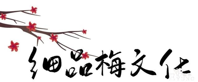 正是赏梅好时节，春节去东湖梅园寻香添福-7.jpg