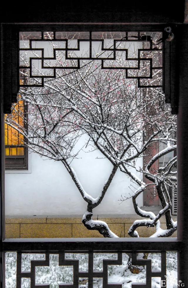 正是赏梅好时节，春节去东湖梅园寻香添福-10.jpg