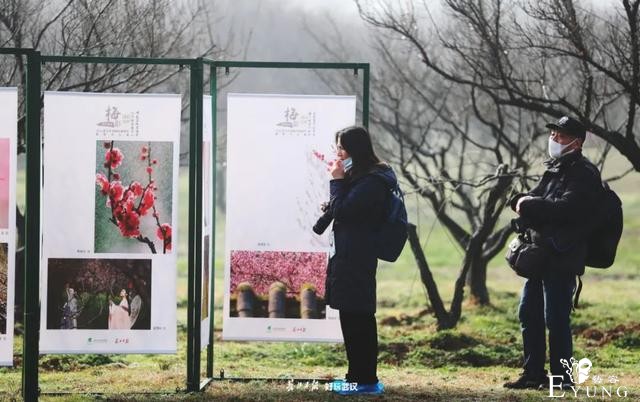 正是赏梅好时节，春节去东湖梅园寻香添福-13.jpg