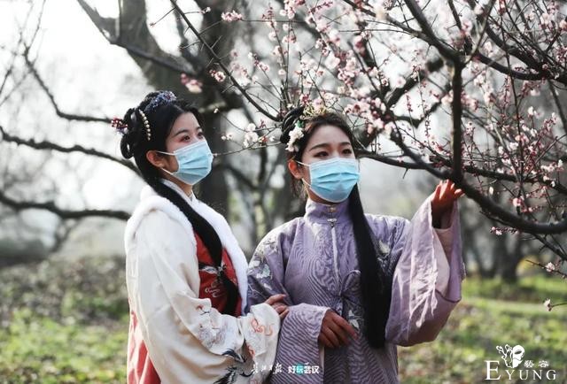 正是赏梅好时节，春节去东湖梅园寻香添福-16.jpg