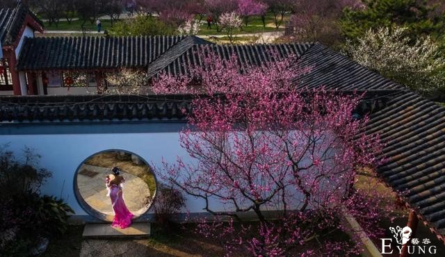 正是赏梅好时节，春节去东湖梅园寻香添福-17.jpg