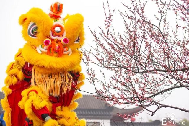 正是赏梅好时节，春节去东湖梅园寻香添福-21.jpg