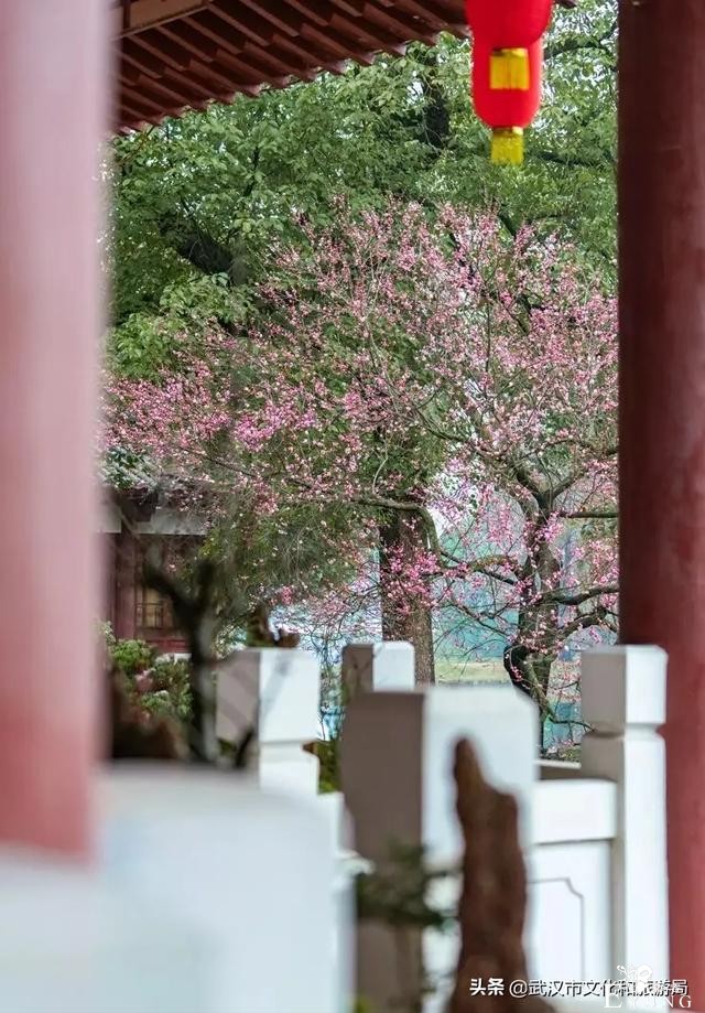 @所有人，留在武汉过春节最全游玩指南来啦！-7.jpg