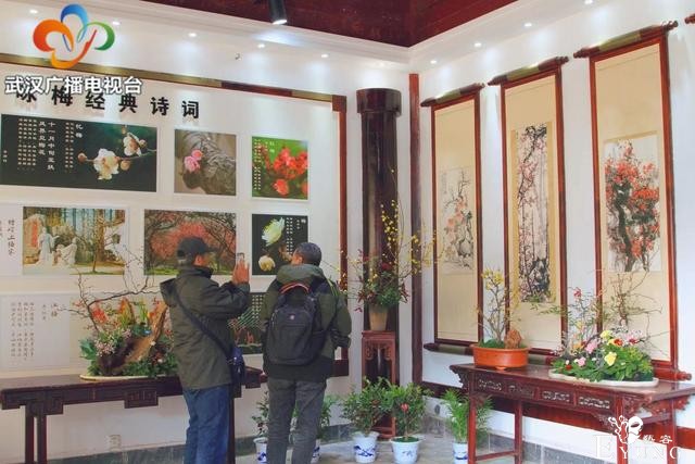 赏花打卡，从东湖梅园开始-6.jpg