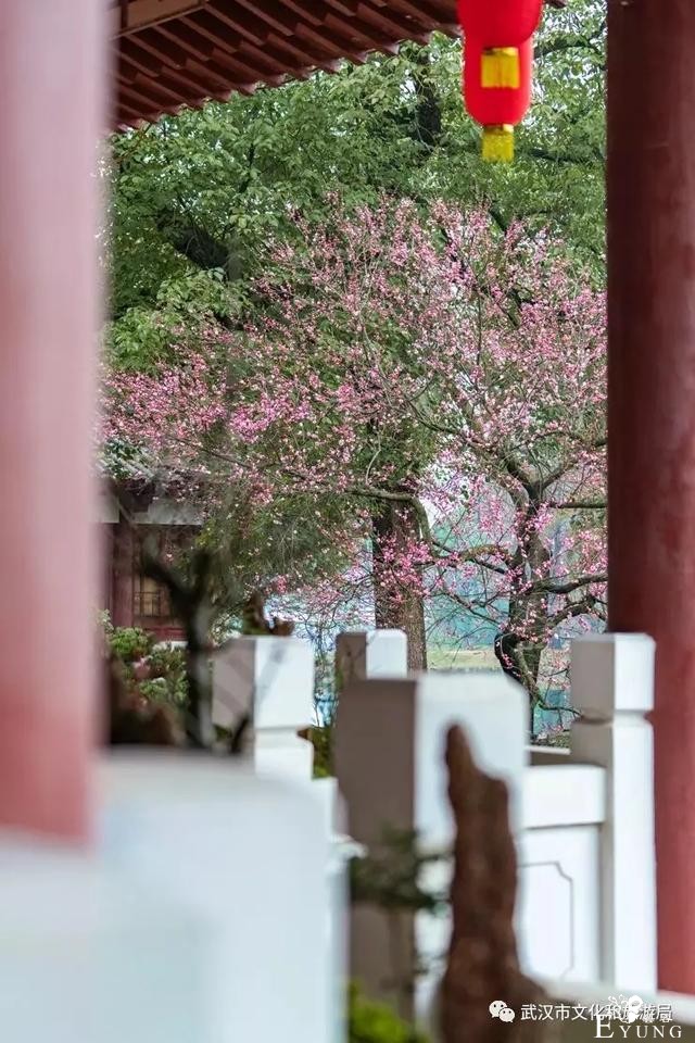 @所有人，留在武汉过春节最全游玩指南来啦-7.jpg