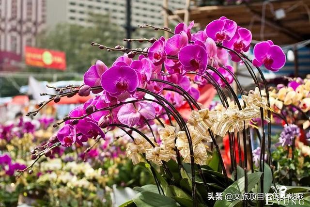 全国10城“就地过年”文旅福利，看看哪里最有诚意-6.jpg
